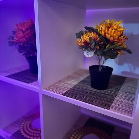 Apartmán Design A